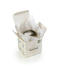 Aromatherapy Bath Bomb WINTER SPICES